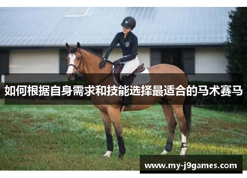 如何根据自身需求和技能选择最适合的马术赛马